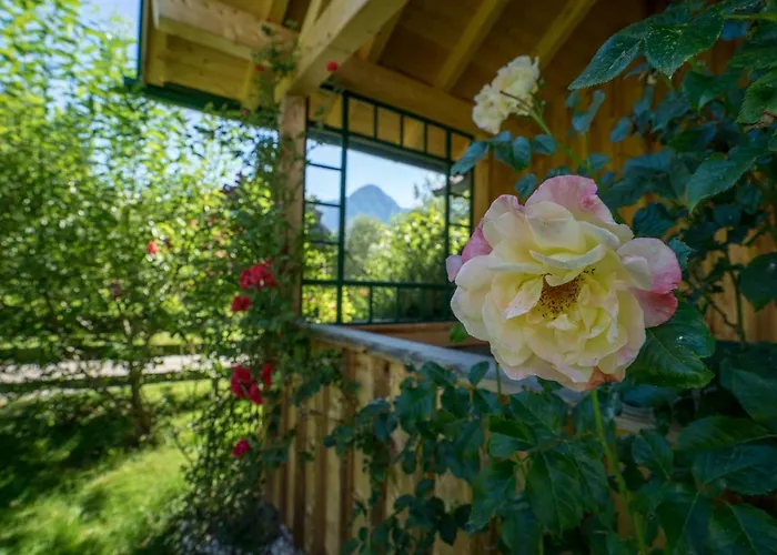 Ausseer Chalet
